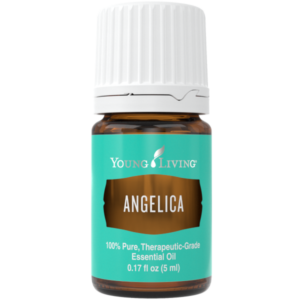 Engelwurz (Angelica), 5ml