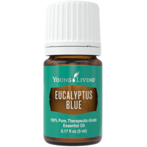 Blauer Eukalyptus (Eucalyptus Blue), 5ml