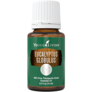 Eukalyptus Globulus, 15ml
