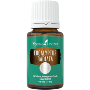 Eukalyptus Radiata, 15ml