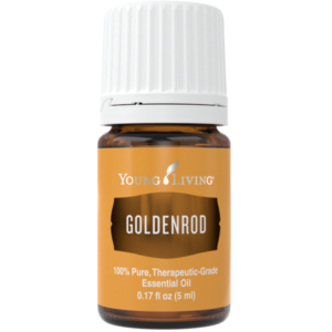 Goldrute (Goldenrod), 5ml