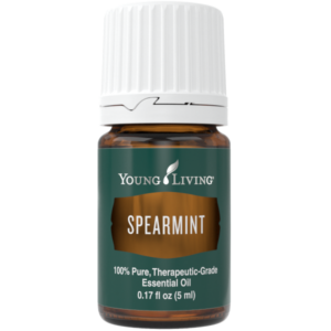 Grüne Minze (Spearmint), 5ml