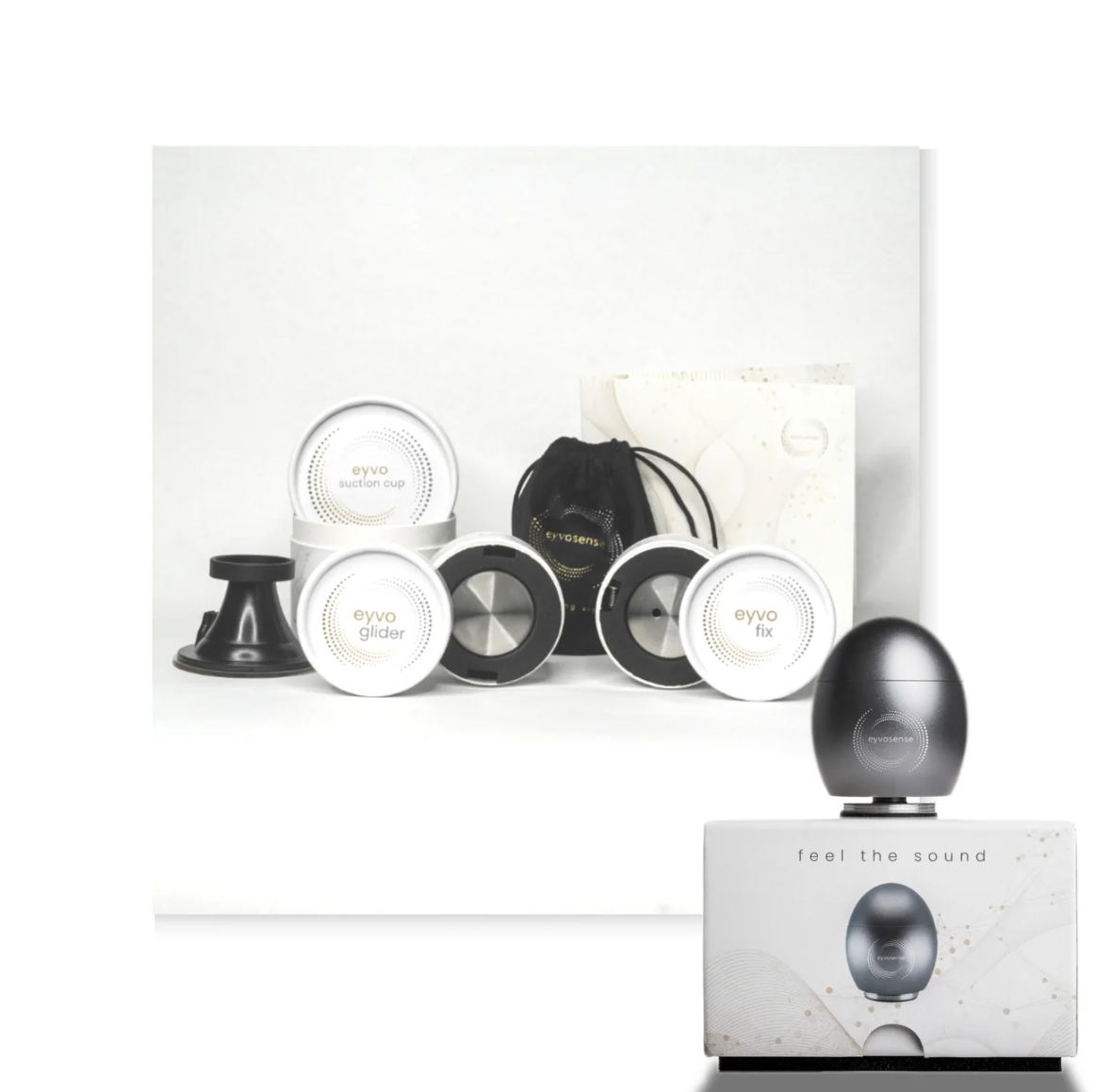 Eyvo 6 - Platin PUR mit Bag und leerer SD Karte